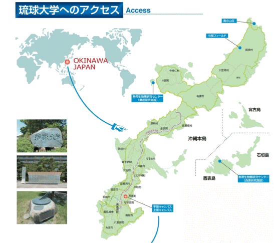 琉球大学へのアクセスマップ